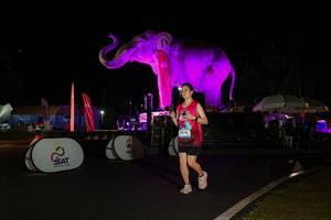 BIB: 
                            <button type="button" onclick="openModal(26543092)" class="btn btn-primary btn-sm float-right btn-popup" data-toggle="modal" data-target=".modal-high-quality">
                        <i class="fas fa-shopping-cart"></i> Add to Cart
                    </button>
                                            <button type="button" onclick="isThisMe(26543092, true)" class="btn btn-success btn-sm float-right btn-popup btn-isme hidden" data-toggle="tooltip" data-placement="bottom" title="นี่คือรูปของคุณใช่ไหม คลิกที่นี่เพื่อเอาเข้าอัลบั้ม">
                        <i class="fas fa-plus"></i> Add to album
                    </button>
                    <button type="button" onclick="isThisMe(26543092, false)" class="btn btn-warning btn-sm float-right btn-popup btn-isnotme hidden">
                        <i class="fas fa-ban"></i> Remove from album
                    </button>